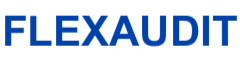 FLEXAUDIT